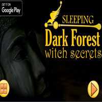 NsrGames Sleeping Dark Forest Witch Secrets Walkthrough
